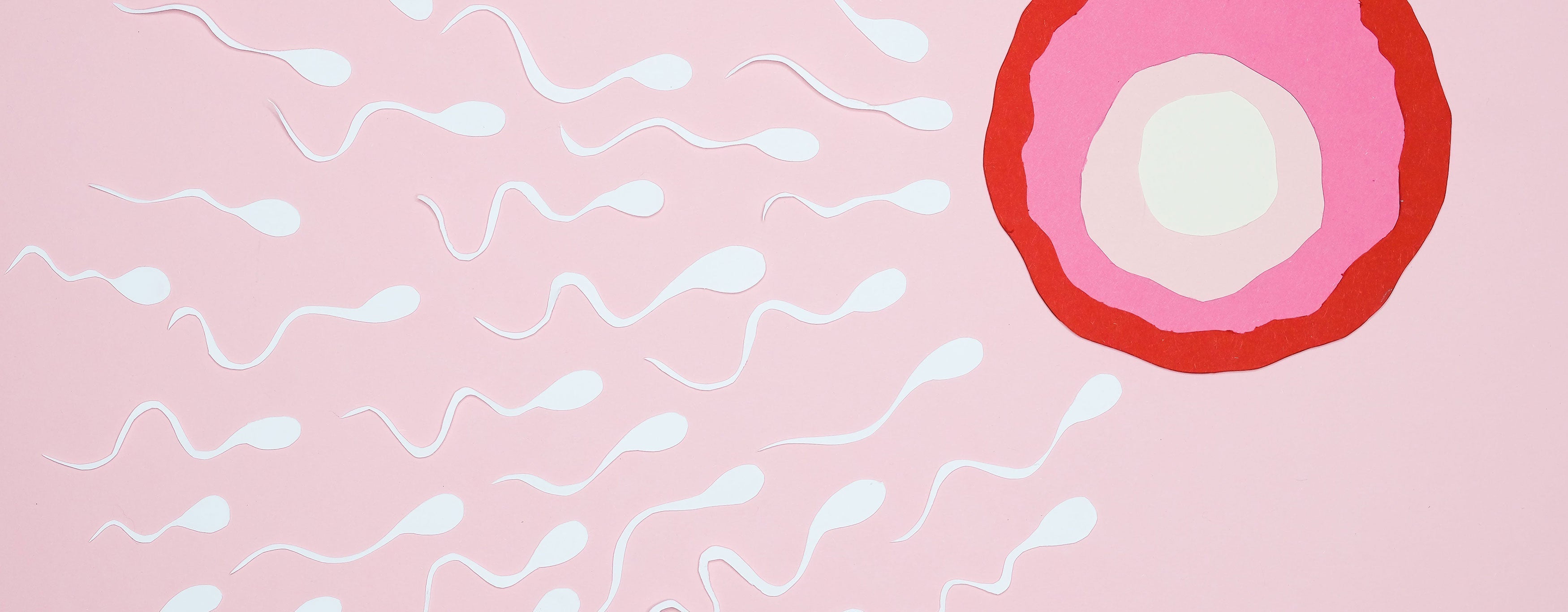 Diesen 5 Fruchtbarkeitsmythen solltest Du nicht trauen