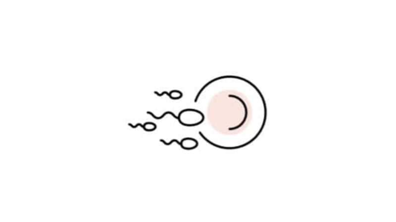 Spermien 